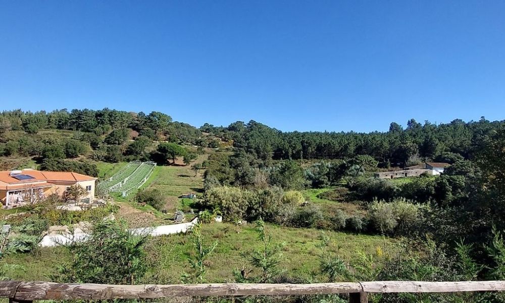 013e289e-ec1c-4bbb-a0c1-f50a339cd4ed