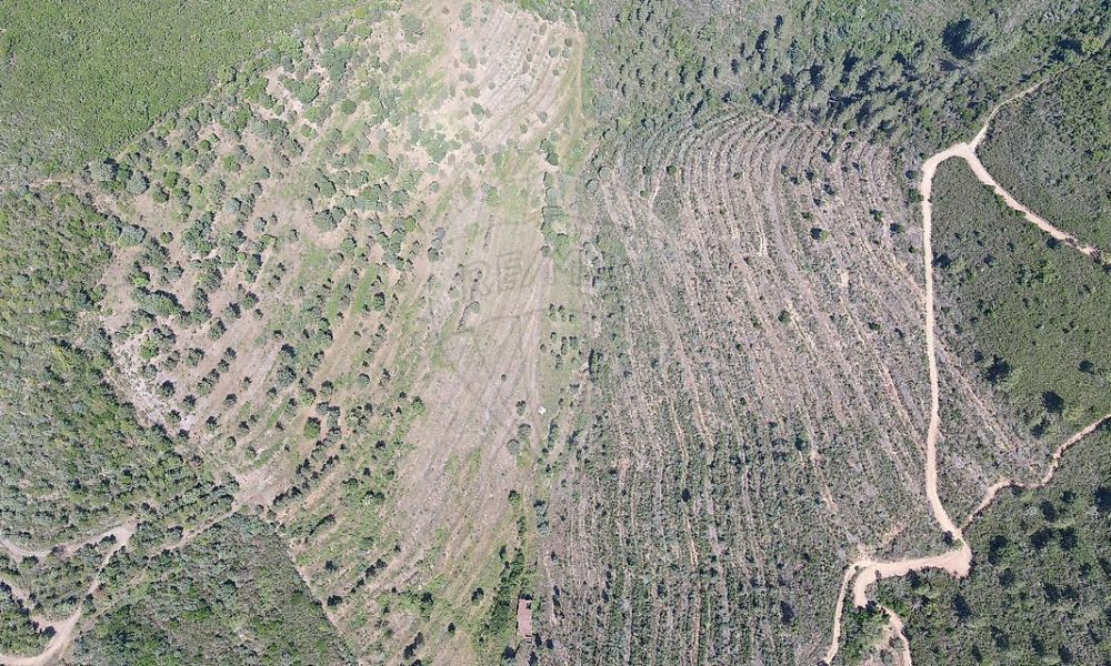 05591fbd-da23-40e0-97da-75689f7a3190