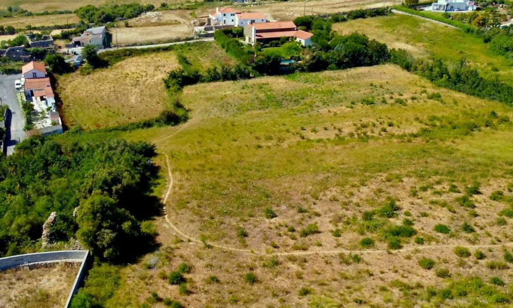 2164f5e1-d4bd-4632-b12d-443634155e9e