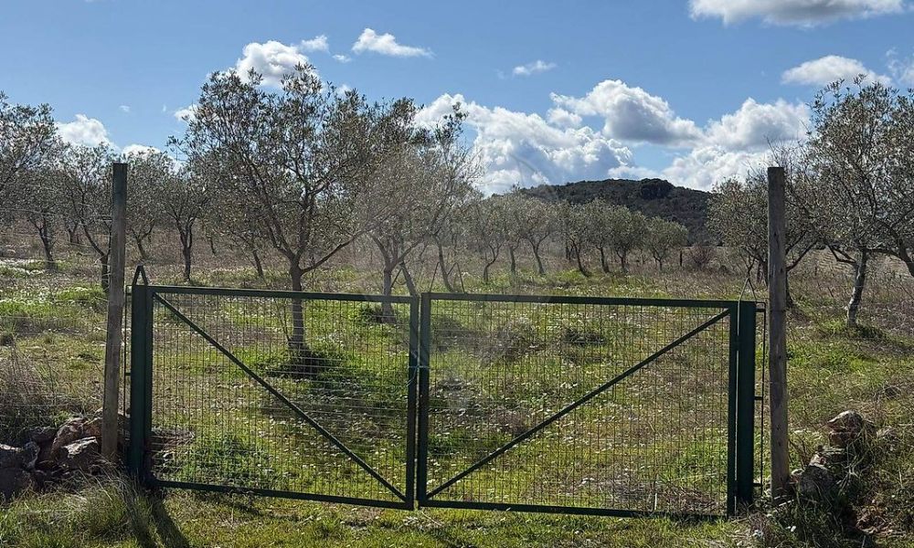 2ba0deff-d70f-4831-922b-12e1d78c3343