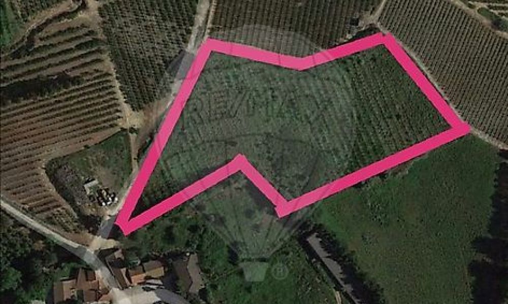 3653c389-4313-4ae5-a66a-8372ae519467