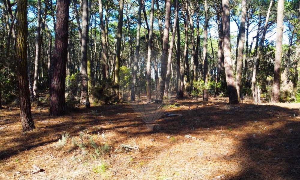 38f292c0-0c5e-4f20-b7b5-4b23bb5184fb