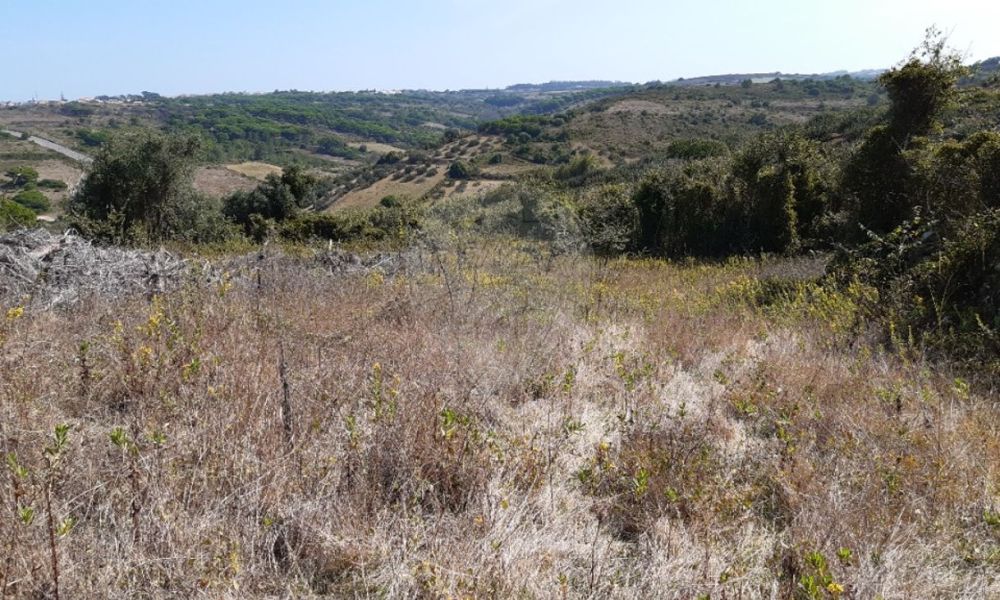 3b40dccf-72d5-404c-ad58-28b87ba61707