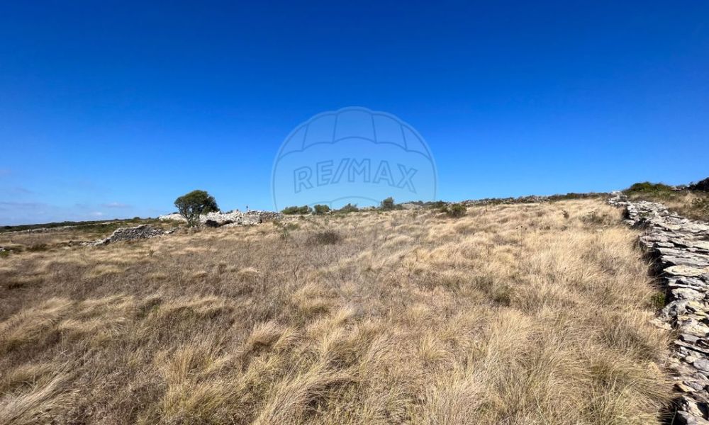 492cba01-2788-4c19-86d3-d2305fc0d269