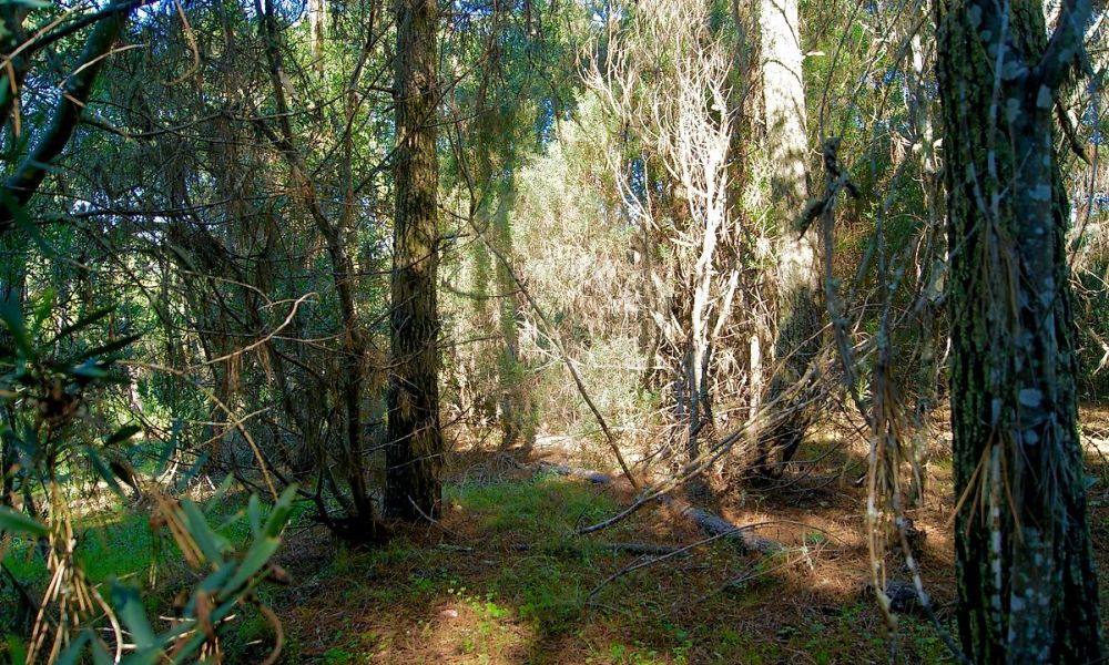 4a56bad7-eb58-433a-a08d-6e354be01994