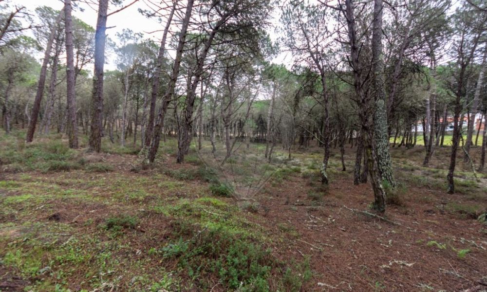 5b3da3f6-eb92-46ce-9367-1183b04c4bcd