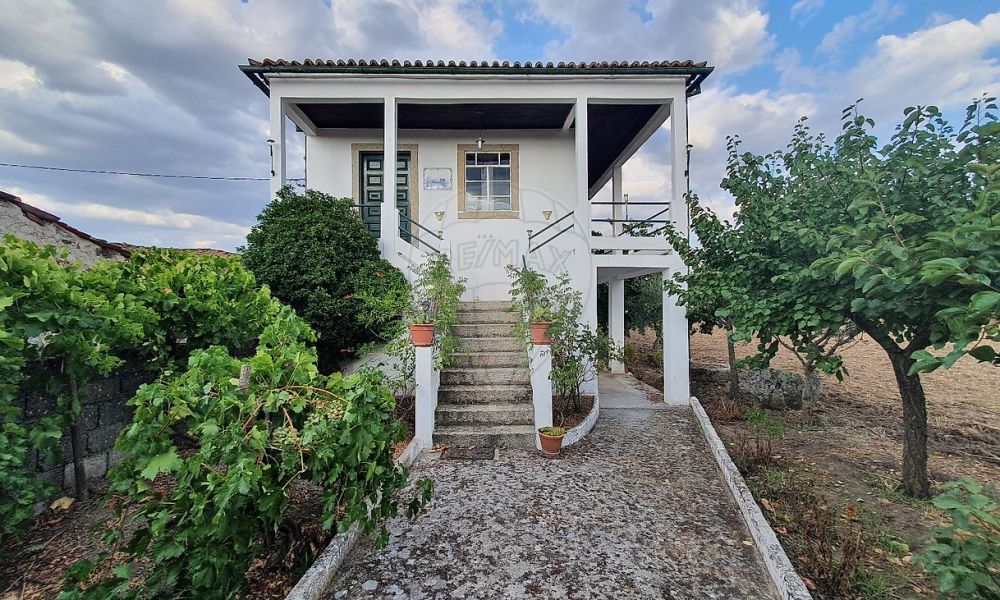 5ddba80c-0299-4a53-b92e-a038d367eb22