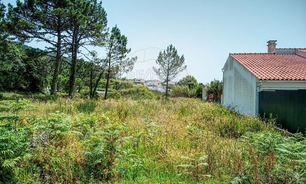 65e57e3d-a188-4859-a2ac-a0f80c18e234