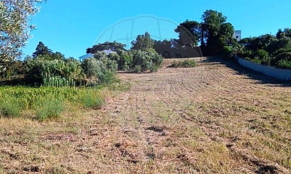 7af3ee30-70c3-4d2b-b847-335106f957d0