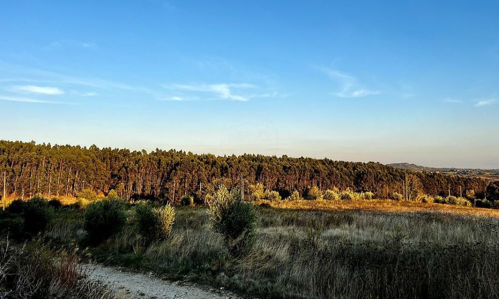 86b2cee5-1f81-42dc-9e2c-6e22d2f8d909