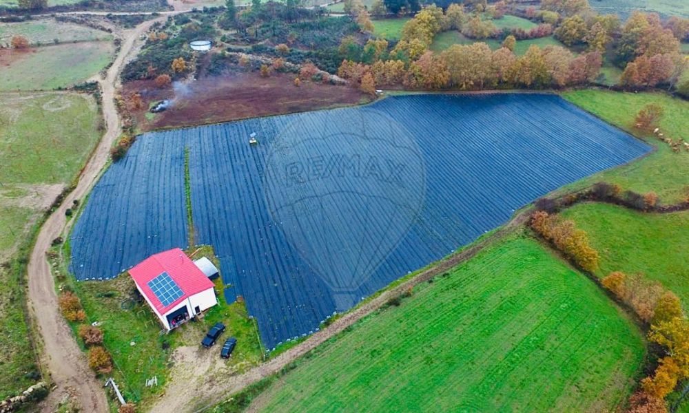 910068c6-7dba-4716-903d-d89fe4efe517