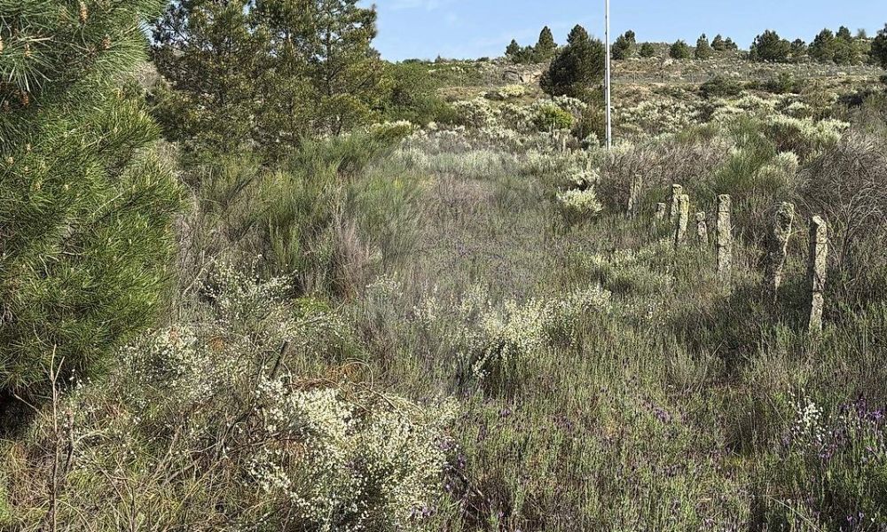 98882d4c-eb4e-4fcd-8be2-853e1c4cb26f