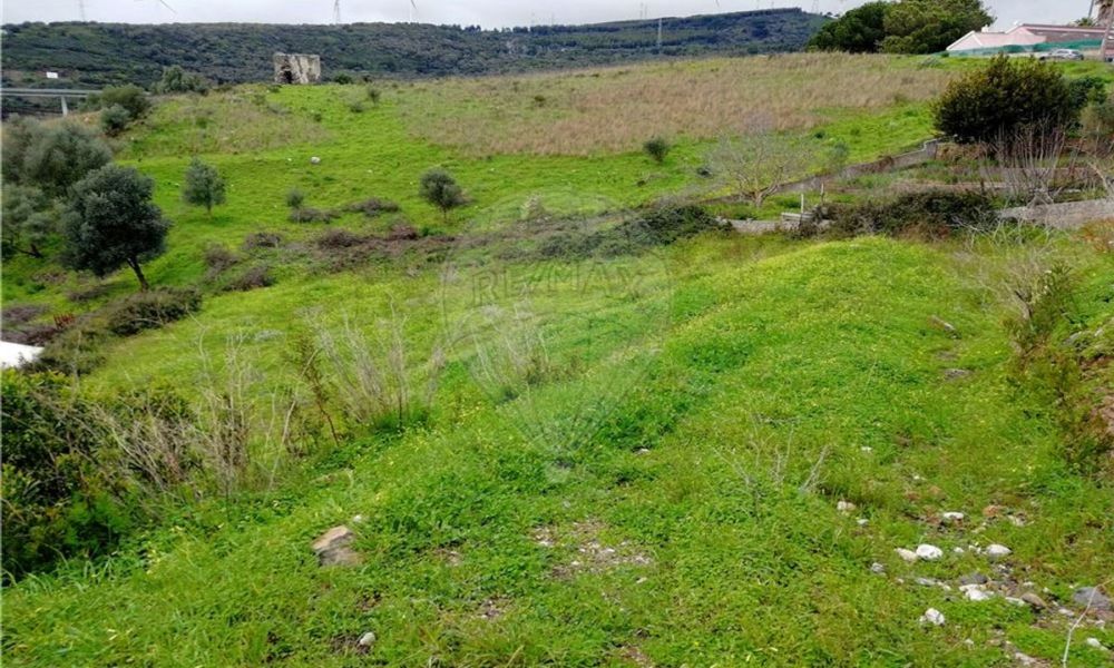 L_eed61c91acc24e5a8127e9f7fc743609