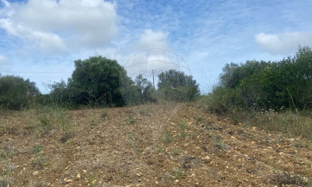 b2b05338-7842-4768-9bf2-19c557b5dd83