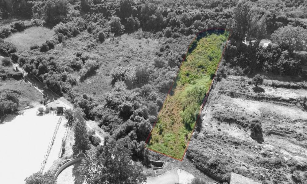 c3ffbf39-cc52-453f-950a-e12747bda717