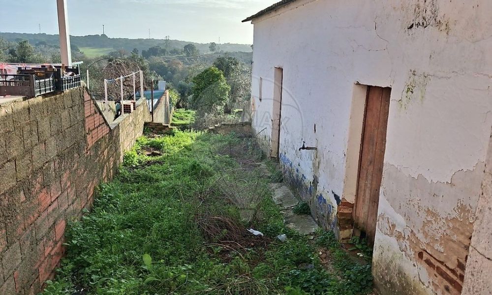 d1b8be55-31f8-482b-9138-ebcfc091c18c