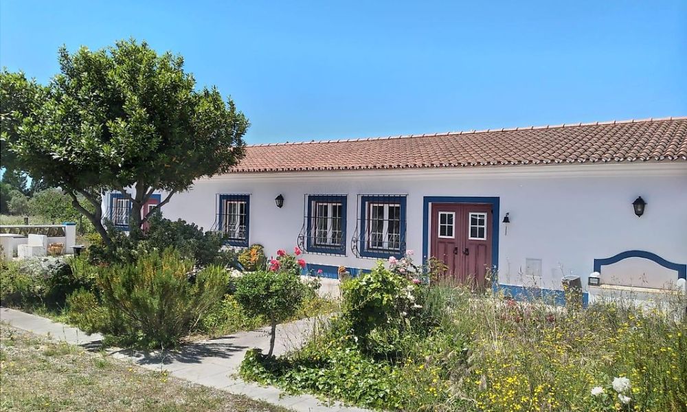 d2093a54-26c2-4c4d-a7d8-adad87d7dffe