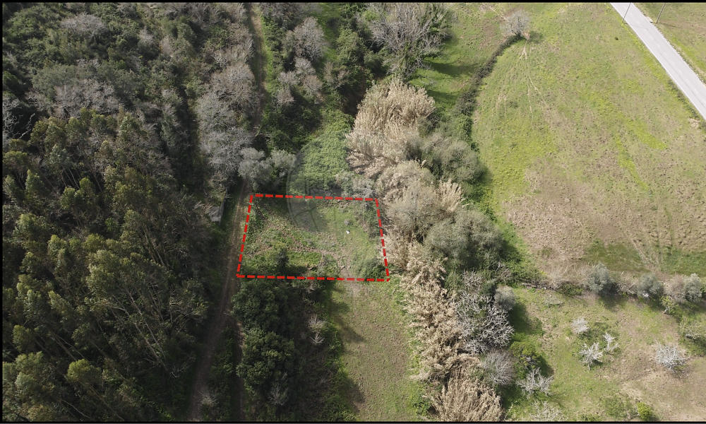 f8a1e90c-3f7b-4703-a4ce-475dfe114aed